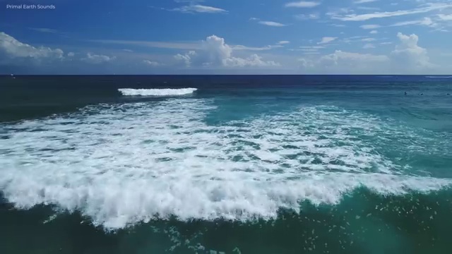  인천 병원동행매니저 병원동행메니저 자격증 합격한 후기 및 무료수강