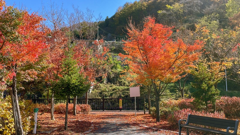 사진 5
