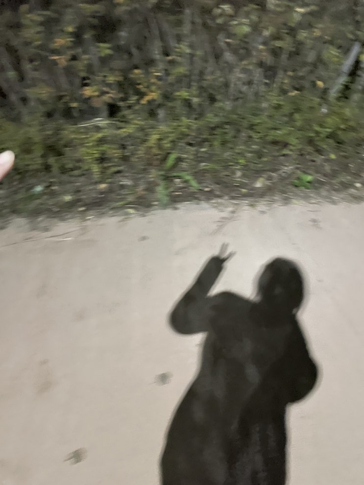  예쁜사람 노래를 들으면 예뻐질까요 : 러닝기록 트와이스&있지 편