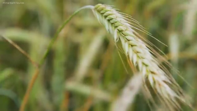  사회복지사 학위신청 , 학점은행제 학사전공 실무경력 없어도 빠르게 완료한 팁