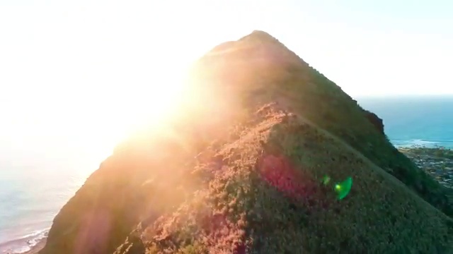  아동미술지도사 취업 , 아동미술지도사 자격증 합격정보 핵심 정보
