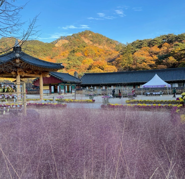 [충북/보은여행] 속리산 가을 가볼만한곳 단풍보러 가기 좋은 법주사 주차 정보