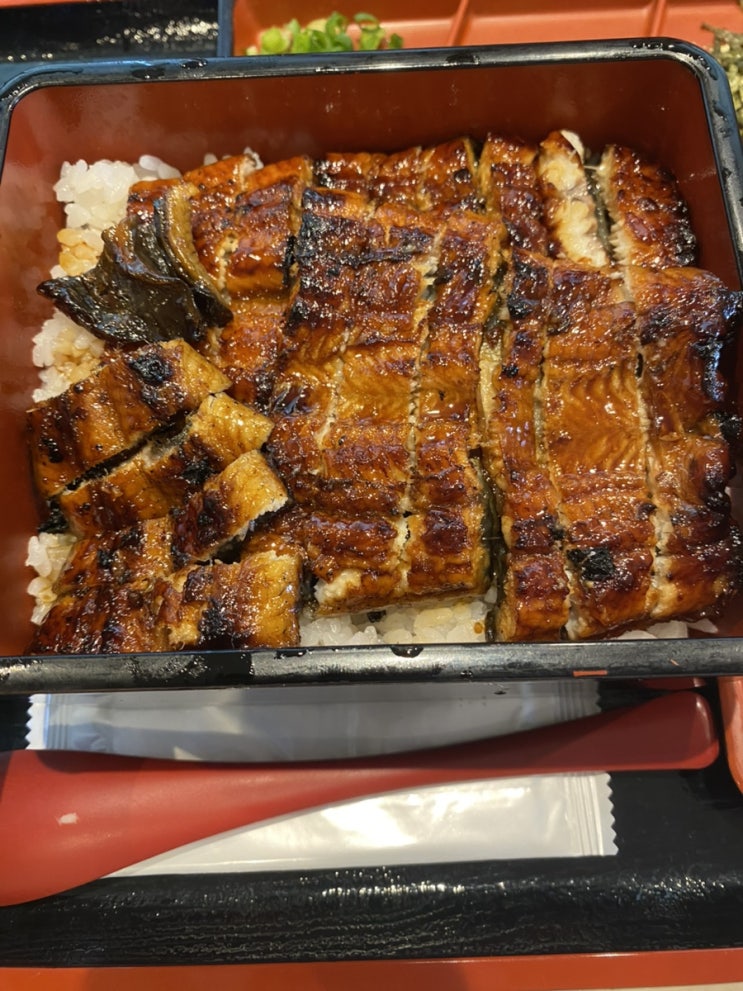  일본 나고야 맛집 가성비 히츠마부시 우나야스