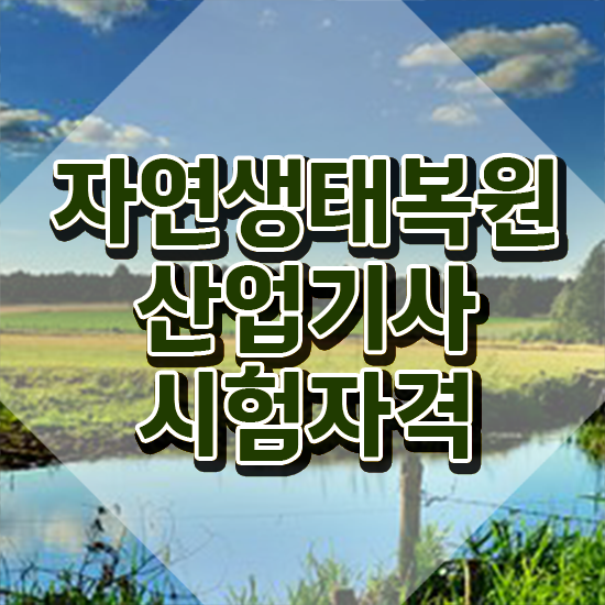  자연생태복원산업기사 응시조건 인강으로 편하게 끝낸 비법