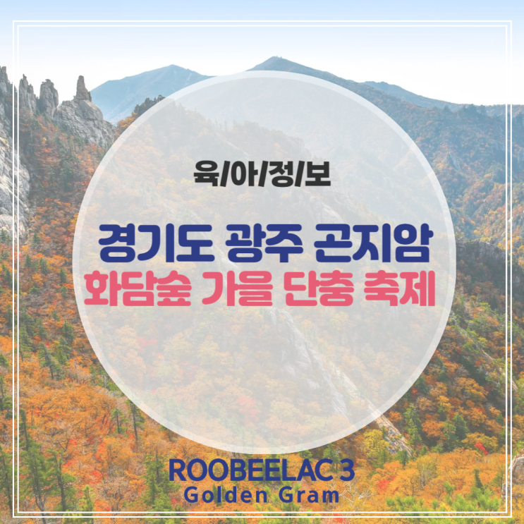  경기도 광주 곤지암 아이와 함께가면 좋은 화담숲 가을 단풍축제 by. 덴마크 슈퍼 프리미엄 분유 루비락 3