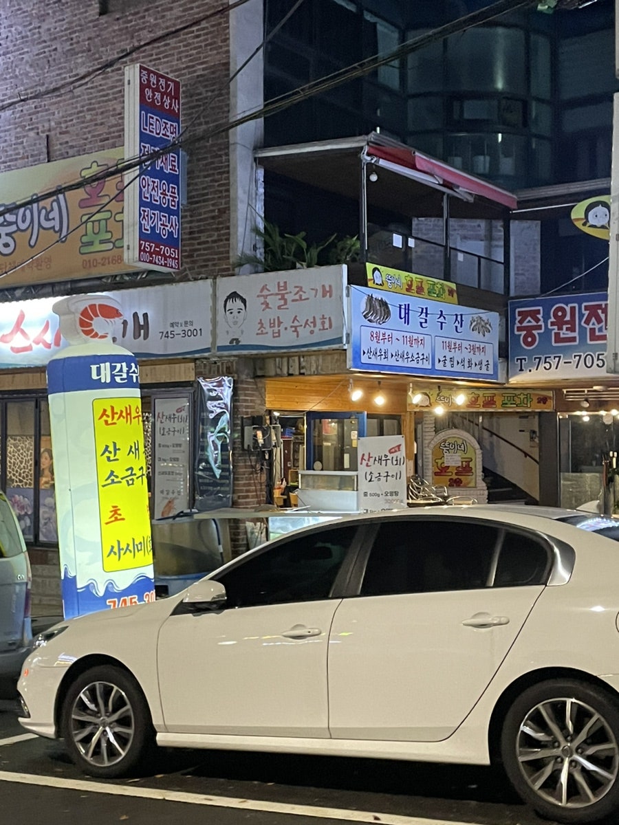 대갈스시조개 사진 1