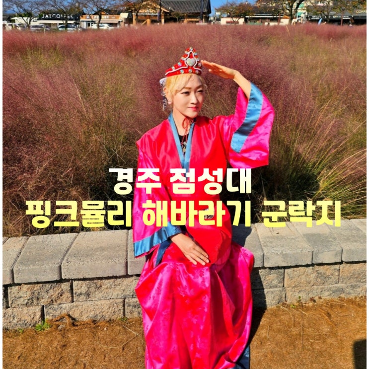  경주 첨성대 핑크뮬리 해바라기 군락지 주차 11월 볼거리 데이트