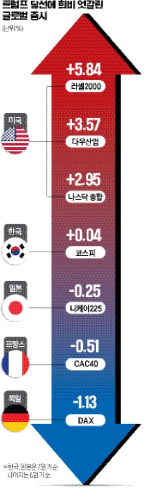 '스트롱맨 귀환'에 글로벌 증시 요동…美 펄펄 뛸 때, 韓·獨·日 움츠려 '스트롱맨 귀환'에 글로벌 증시 요동…美 펄펄 뛸 때, 韓·獨·日 움츠려