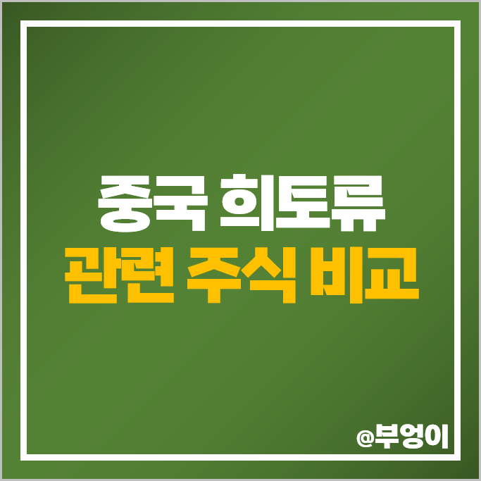 중국 희토류 관련주 대장주 유니온 주가 티플랙스 그린리소스 주식 중국 희토류 관련주 대장주 유니온 주가 티플랙스 그린리소스 주식