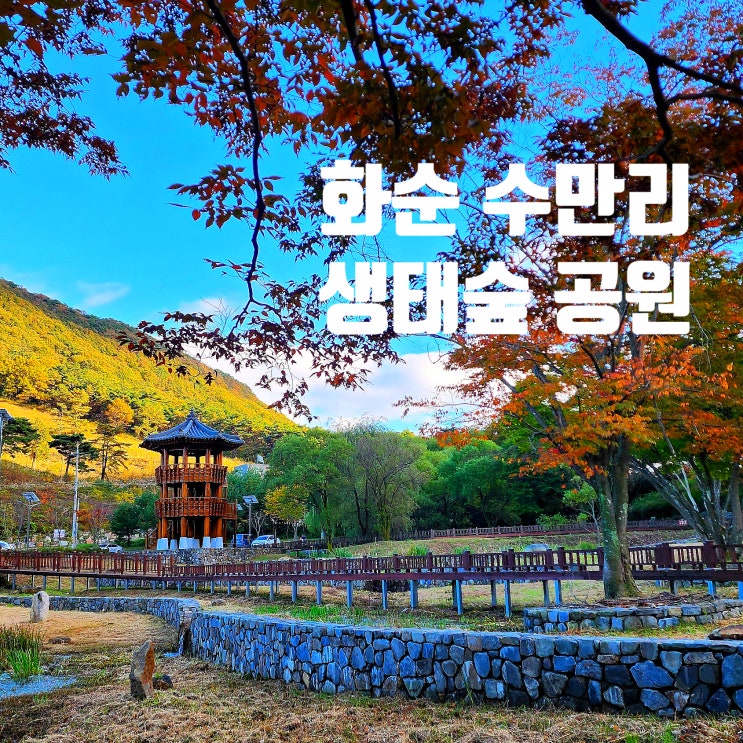  [전남화순]화순 수만리 누리길& 화순 수만리 생태숲공원-만연산 산림공원-단풍 상황-2024.11.2