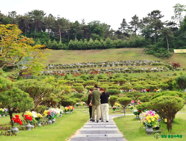  산림을 보호해 주는 수목장 관리