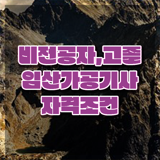  임산가공기사 일정 임산가공기사 응시조건 집에서 온라인으로 간단하게 끝낸 노하우