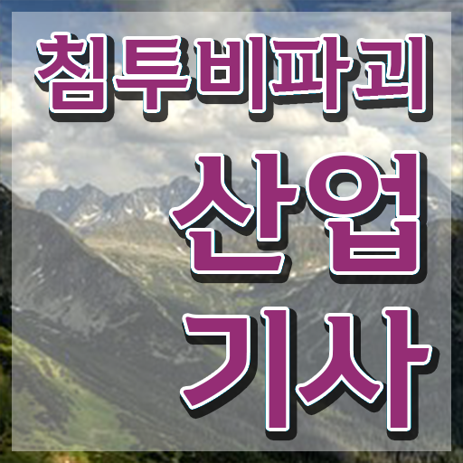  침투비파괴검사산업기사 시험응시자격 집에서 온라인으로 빠르게 성공한 비법