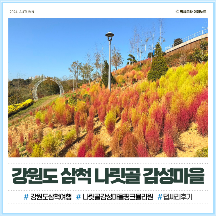  강원도 삼척여행 나릿골 감성마을 핑크뮬리원 11월 방문후기