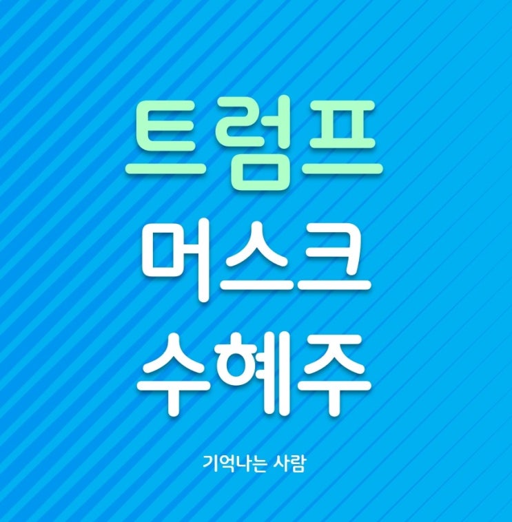  트럼프 머스크 관련 수혜주 정리