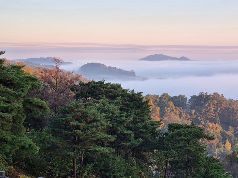 충청도 가을여행 - 예당호 물안개가 환상적인 '봉수산 자연휴양림'