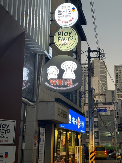 사진 6