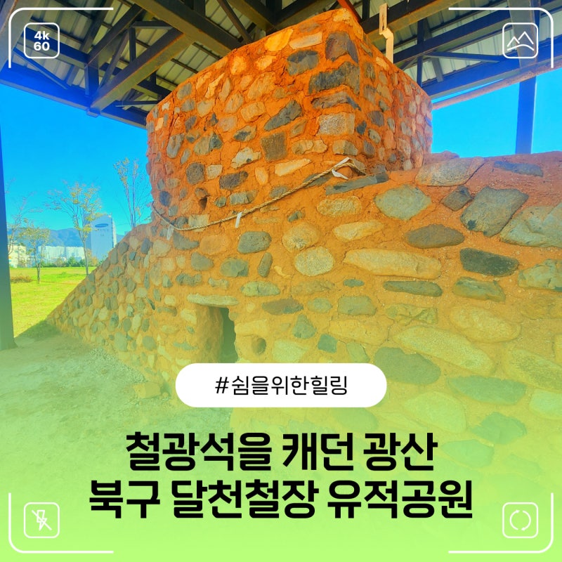 사진 8