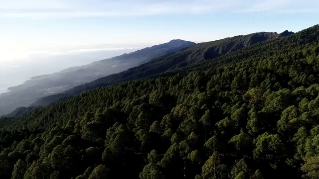  서대문평생교육 , 학점은행제 학사학위 비전공자도 온라인 교육원 통해서 쉽게 성공한 비법