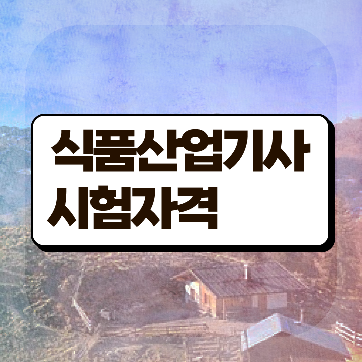  식품산업기사 자격증 식품산업기사 자격요건 온라인 수업으로 편하게 준비한 방법