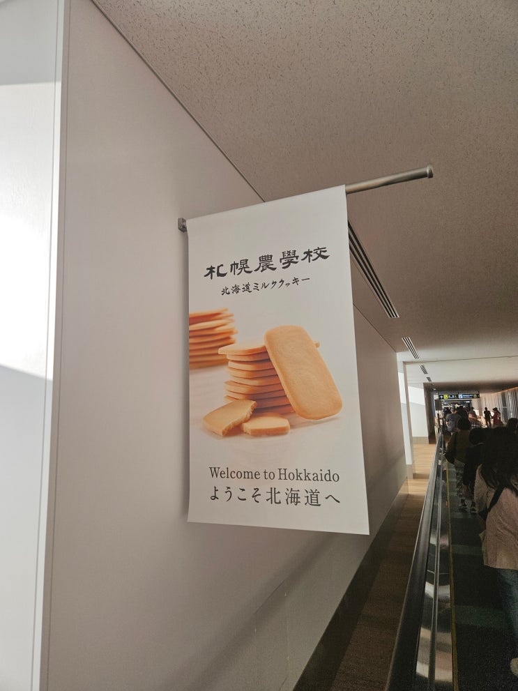  삿포로 신치토세 공항 입국, JR트레인 탑승 방법 소개