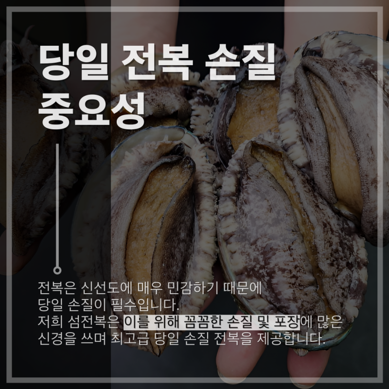 당일 손질 전복 포장 보관법