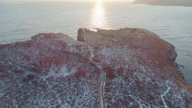  전주 사회복지사2급학점 ? 사회복지사2급 중년 직장인도 학점은행제 인강으로 수월하게
