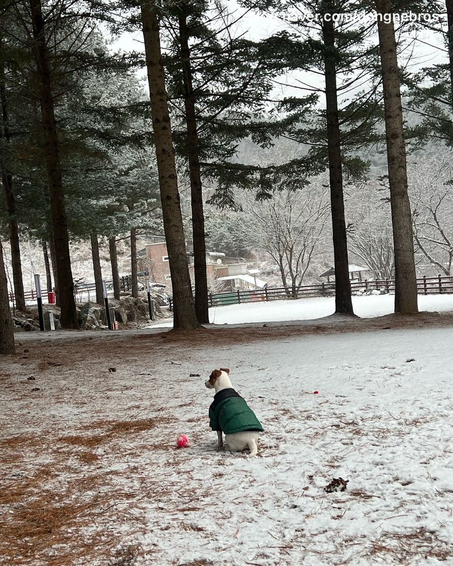 수산하늘풍경 사진 6