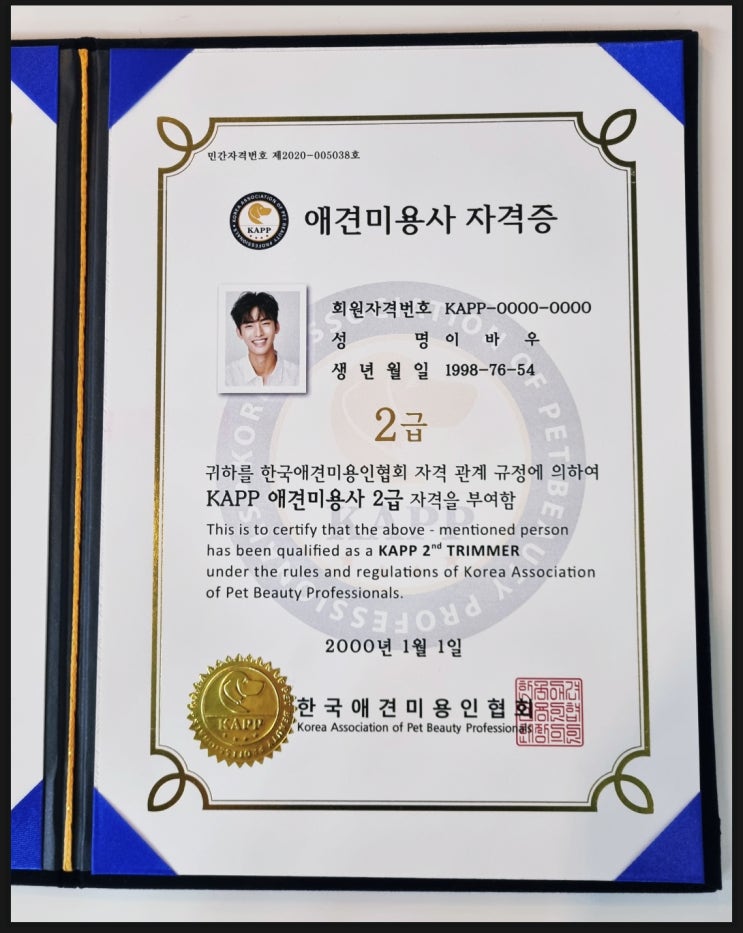  일산 애견미용자격증 빠른 취득은 이바우펫에서