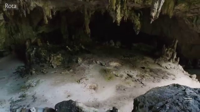  울산네일아트학원 , 네일아트지도사 자격증 쉽고 빠르게 합격한 팁 최신정보 공유