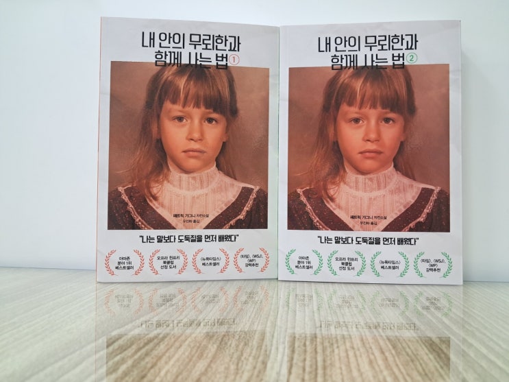  내안의 무뢰한과 함께사는법2