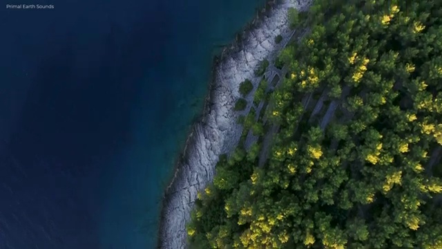  울산 성인심리상담 , 심리상담사 자격증 1급,2급 동시에 합격한 전략 및 구직정보