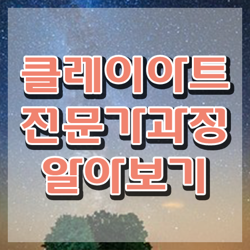  , 클레이아트전문가 자격증 직장인도 쉽게 학습한 후기 및 취업 전망