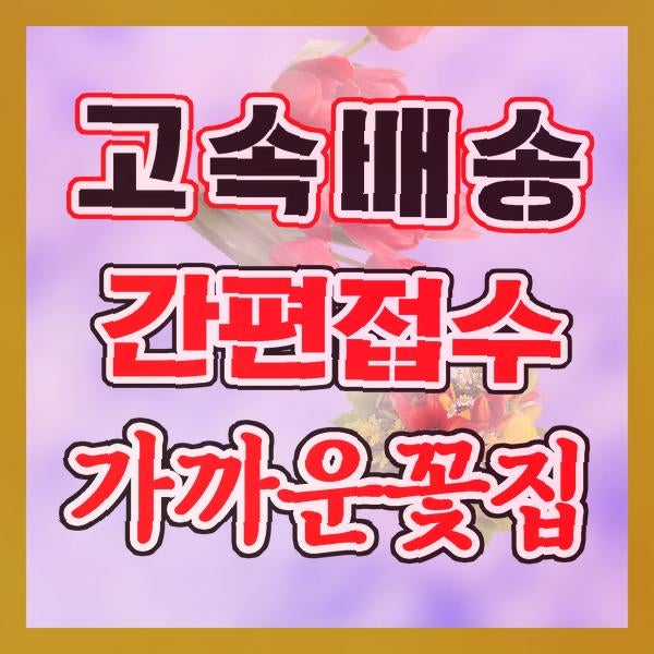 사진 3