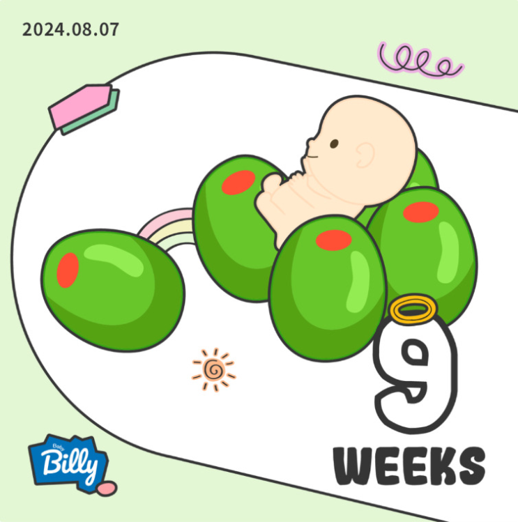  아빠의 임신일기 5. 뾱이 9주차 2일 초음파 심장소리 심박수 기록