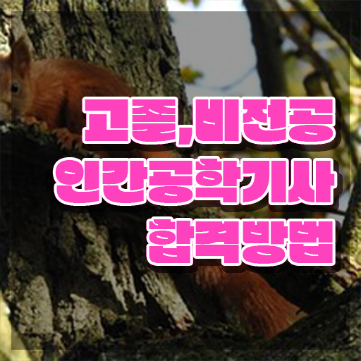  인간공학기사 과목 , 인간공학기사 시험자격 온라인 과정으로 빠르게 완료한 전략