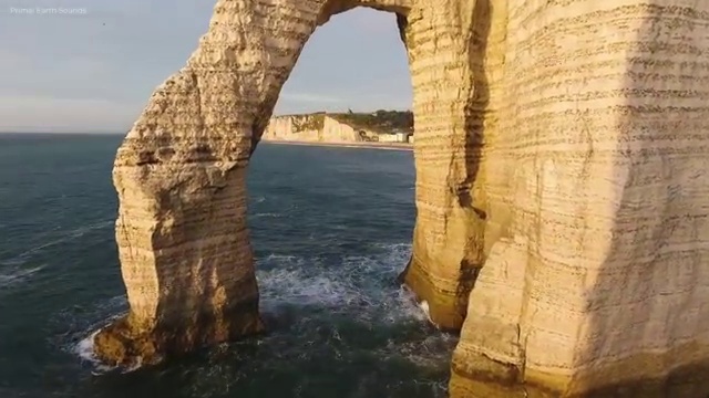  병원코디네이터 자격증 취업 , 병원코디네이터 자격증 간단하게 합격한 후기 , 전망