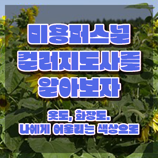  미용퍼스널컬러 , 미용퍼스널컬러지도사 자격증 온라인 교육으로 취득한 노하우 및 향후 전망