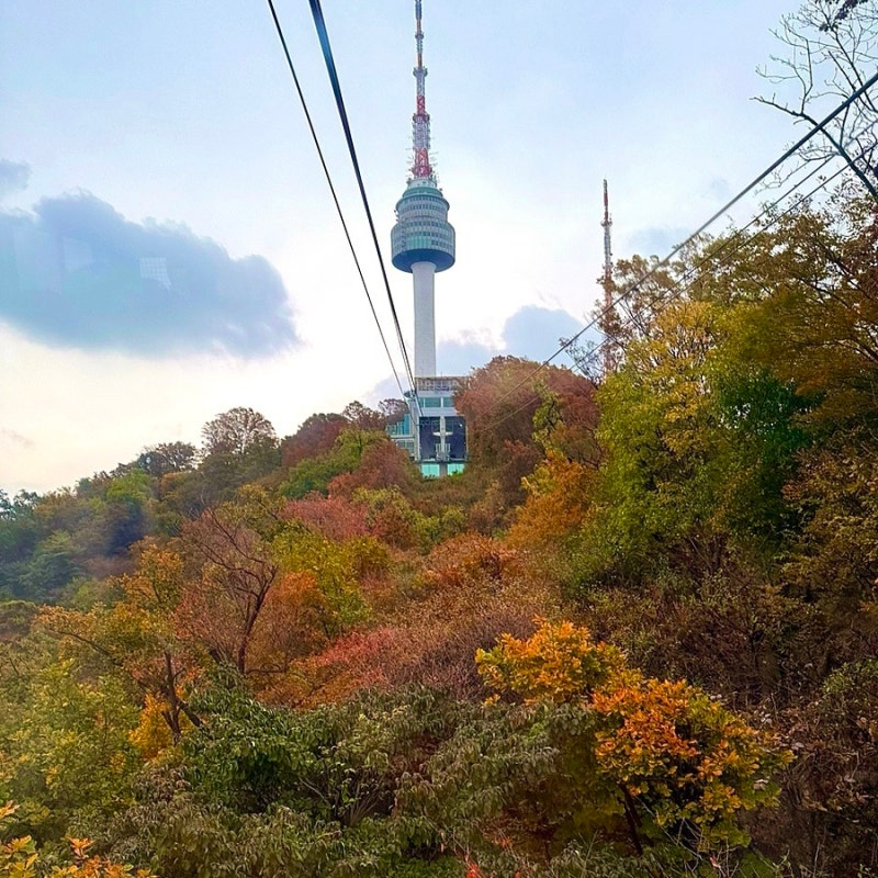 [서울] 남산타워 케이블카 : 예매, 가격 및 할인, 시간, 공영주차장, 타는곳, 남산오르미, 주말....