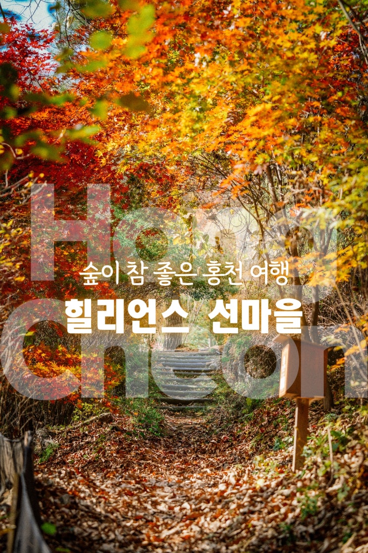  강원 홍천 가볼만한곳 힐리언스 선마을 숲속동 스위트 객실 조식 석식 숲테라피 소도구테라피