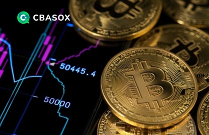  CBASOX 거래소 설문조사: 투자자 45% 암호화폐 투자 계획, 사기 방지법은?