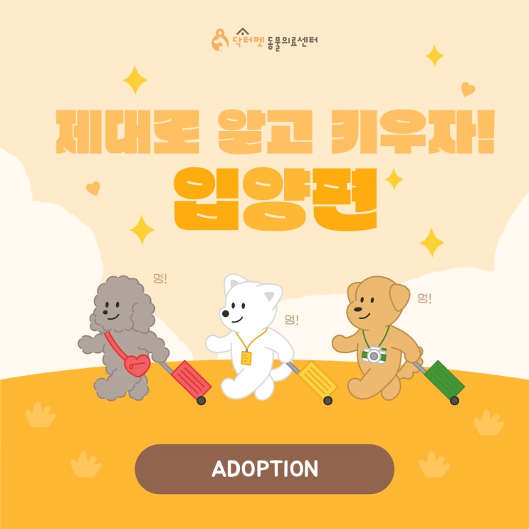  사지 말고 입양하세요! 건강한 강아지 입양 가이드