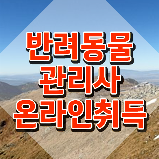  반려동물 생활관리사 , 반려동물관리사 자격증 단기간에 합격한 전략 및 무료수강 혜택