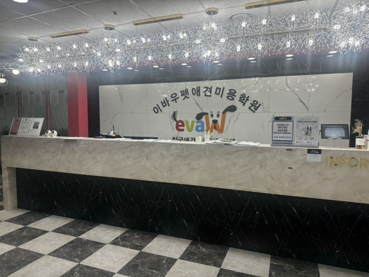  이바우펫 인천 애견미용학원 취업 창업 목표라면