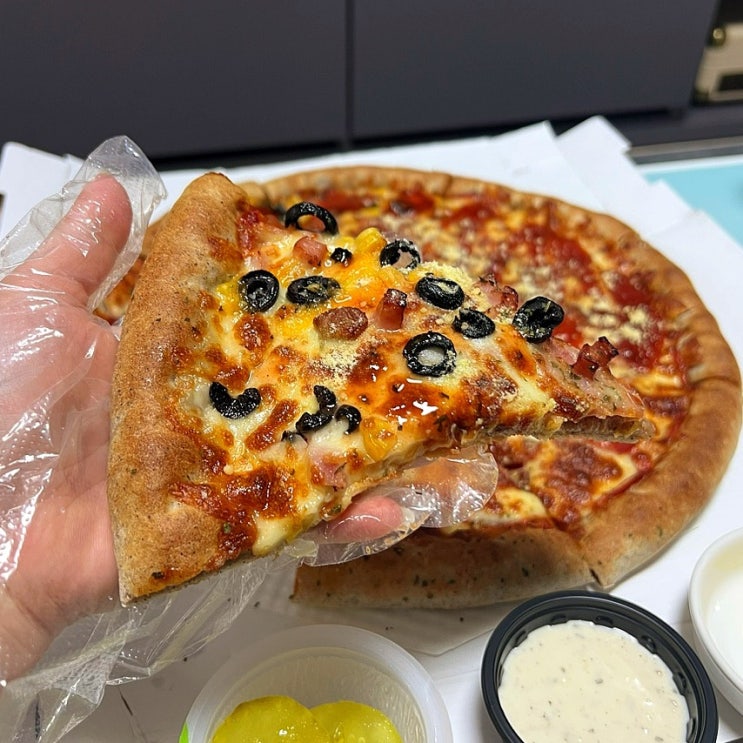  [의정부 맛집 - 자가제빵 선명희 피자] 콤비네이션 치즈 반반 피자, 내돈내산 배달 후기