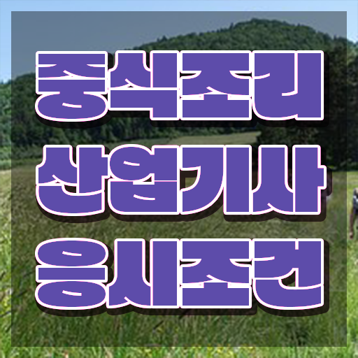  중식조리산업기사 응시자격 인강만 듣고 간편하게 완료한 비법