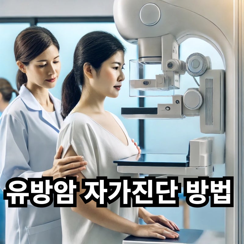 유방암 자가 진단 방법과 체크리스트