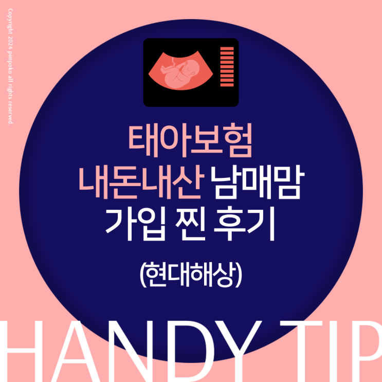  현대해상 태아보험 사은품 카시트 내돈내산 남매맘 가입 후기