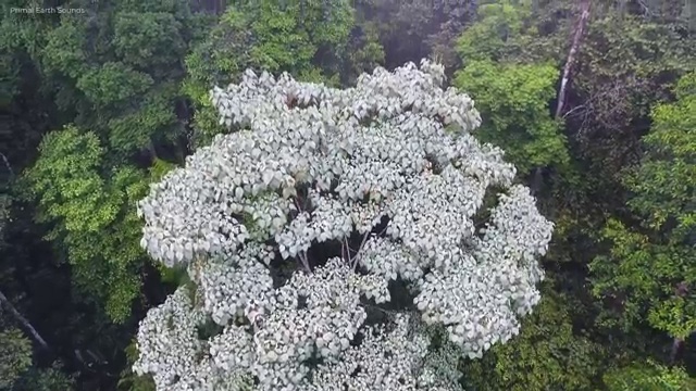  장수군아동심리상담사2급 , 아동심리상담사 자격증 합격한 전략 소개합니다