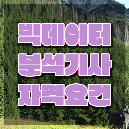  빅데이터 분석 기사요약 , 빅데이터분석기사 자격요건 학점은행제로 간단하게 끝낸 과정